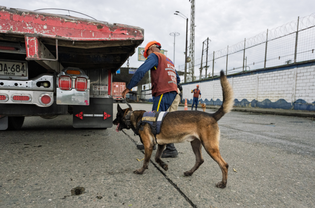 Operation CHASE 4 - Colombia dog.png