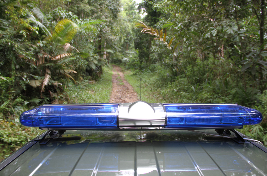Un nombre croissant de forces de police se dotent de leurs propres unités spécialisées dans la criminalité forestière pour lutter contre les réseaux organisés de la criminalité liée au bois.