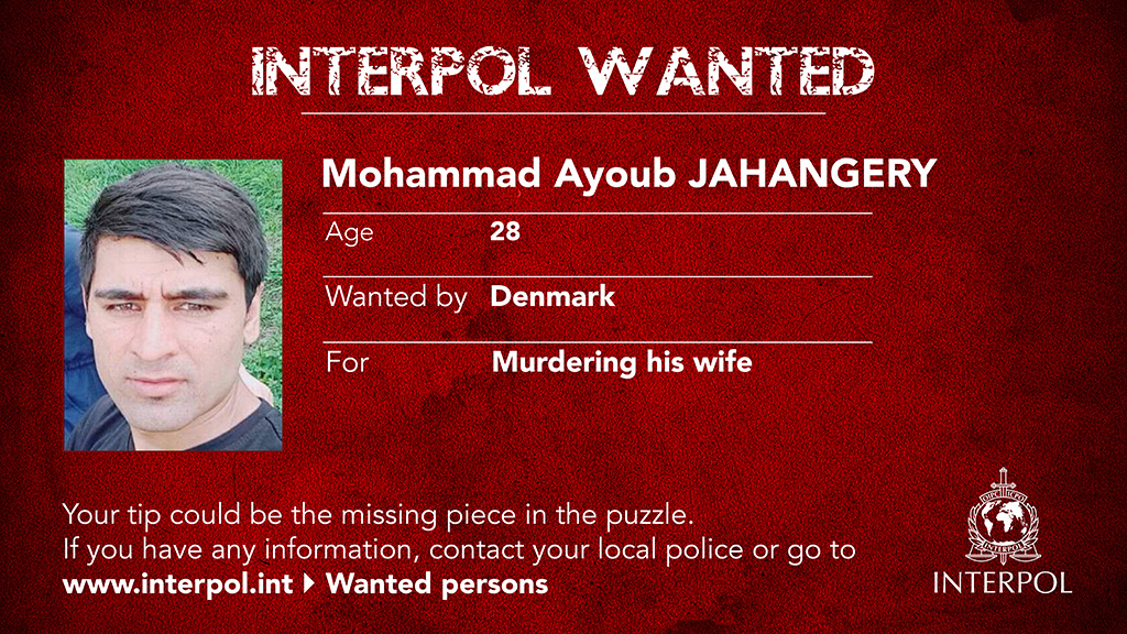 INTERPOL Wanted
