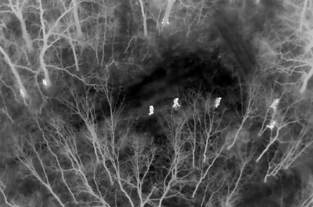 1. Moldova drone migrants.jpeg