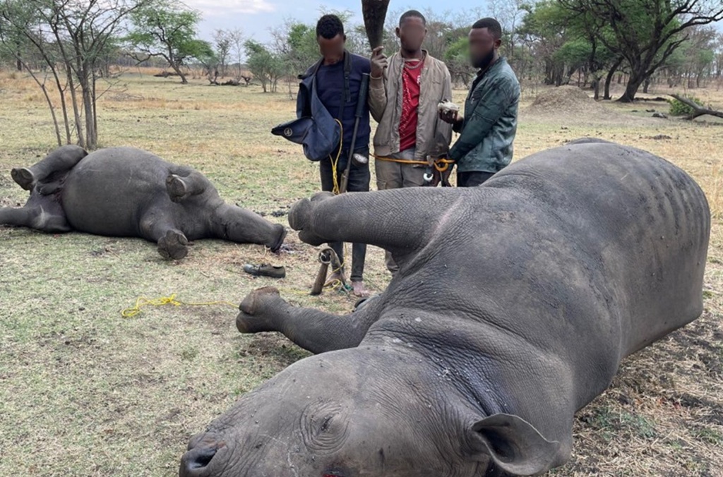 Angola rhino poaching-blur.jpg