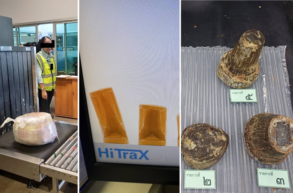 Thailand rhino photos.jpg