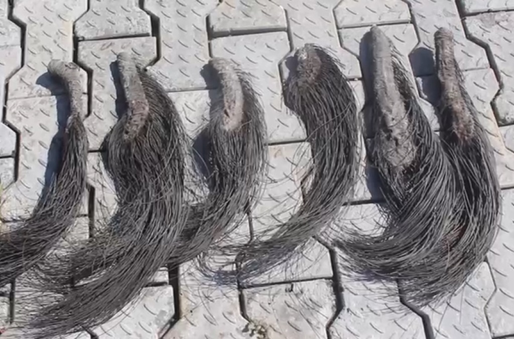 Cameroon Elephant hair.jpg