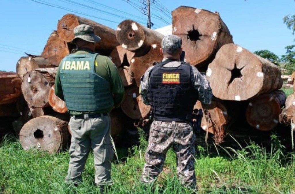 Brazil timber seizure.JPG