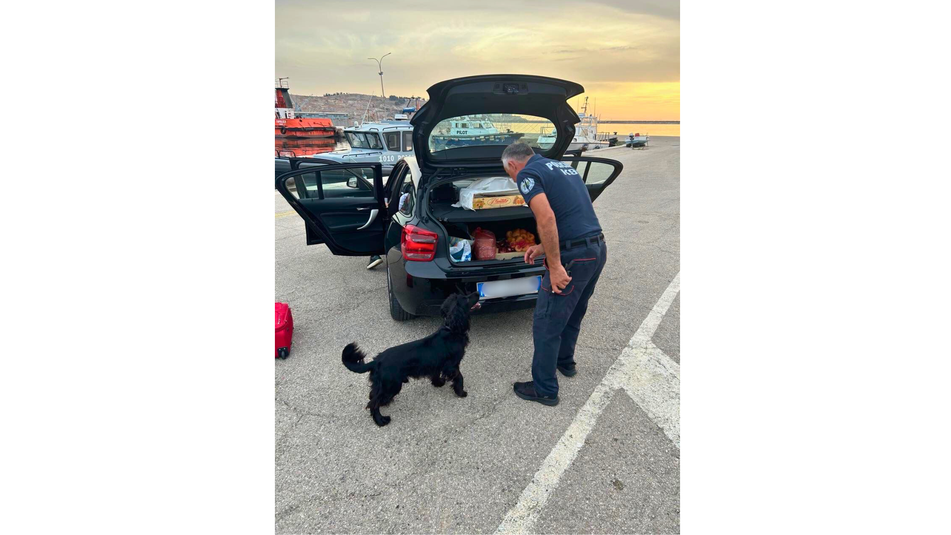 Montenegro 1_ K9 inspection - Edited.png