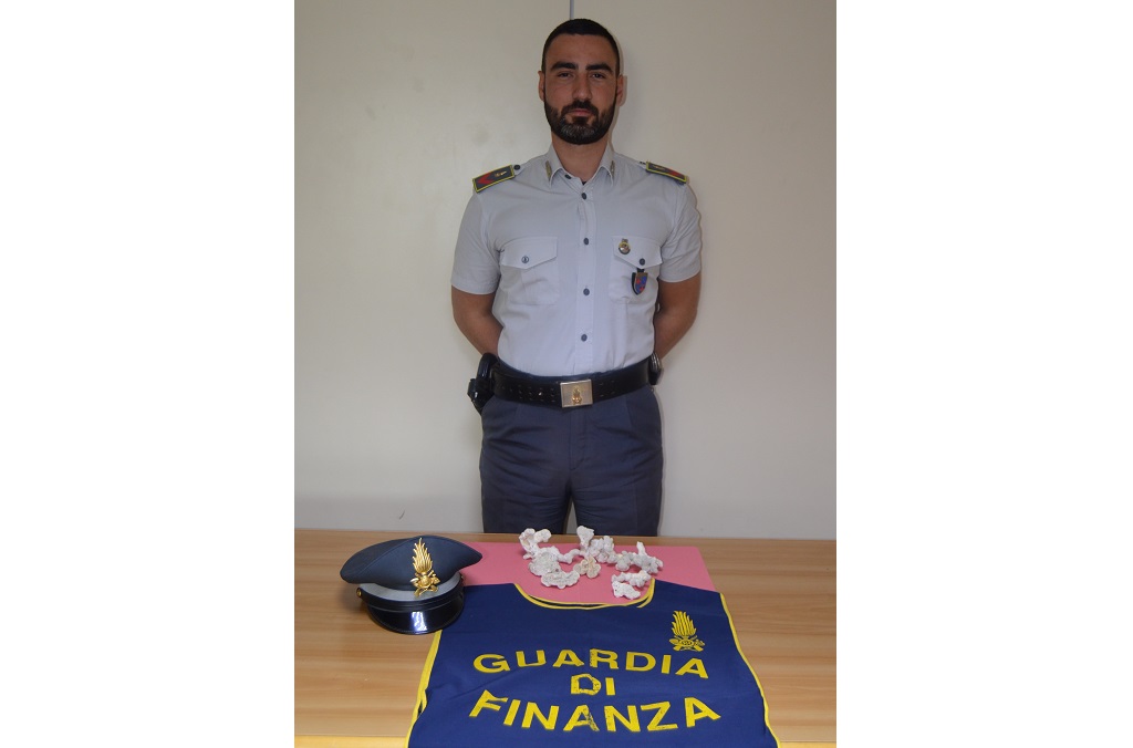 Mole Mushroom Coral (Polyphyllia Talpina) seized by Italy’s Guardia di Finanza at Bologna airport where the coral was found hidden in personal luggage
