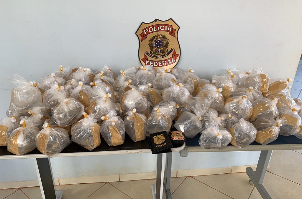 Brazil’s Federal Police airport officers intercept luggage bound for Asia containing Amazonian fish species ‘Hypancistrus Zebra’ and ‘Scobiancistrus Aaureatus’