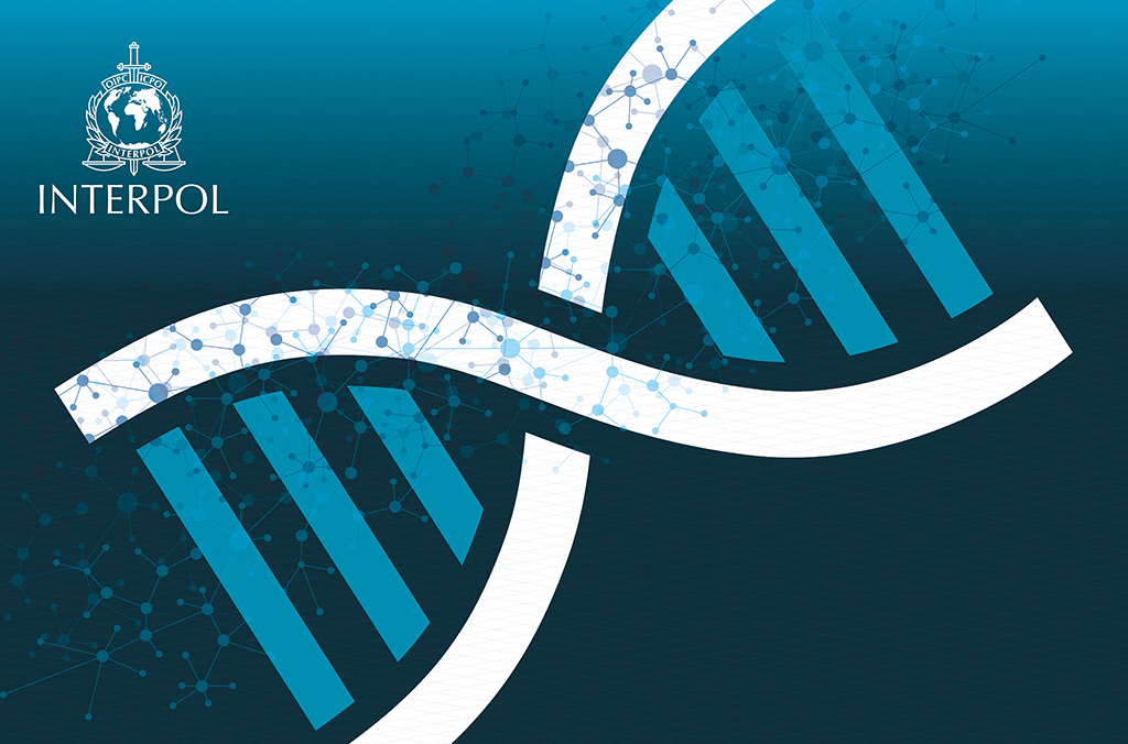 INTERPOL research outlines smarter DNA matching process