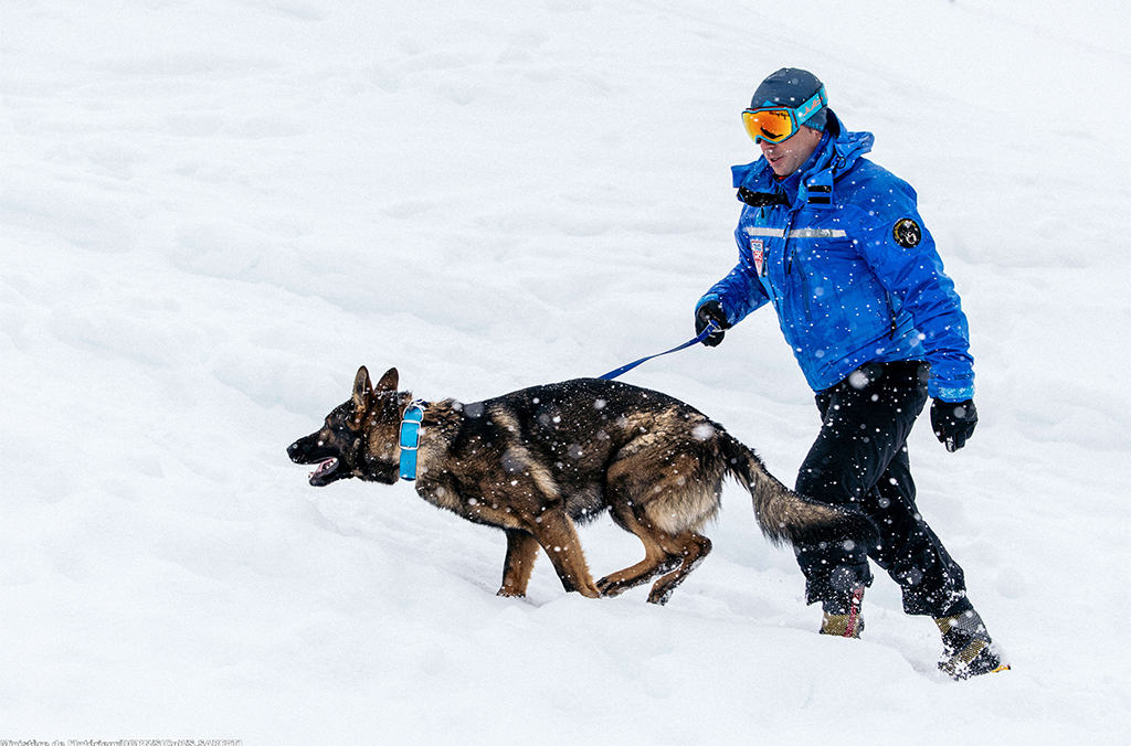 10 - Mountain Republican Security Company - National Police copy.jpeg