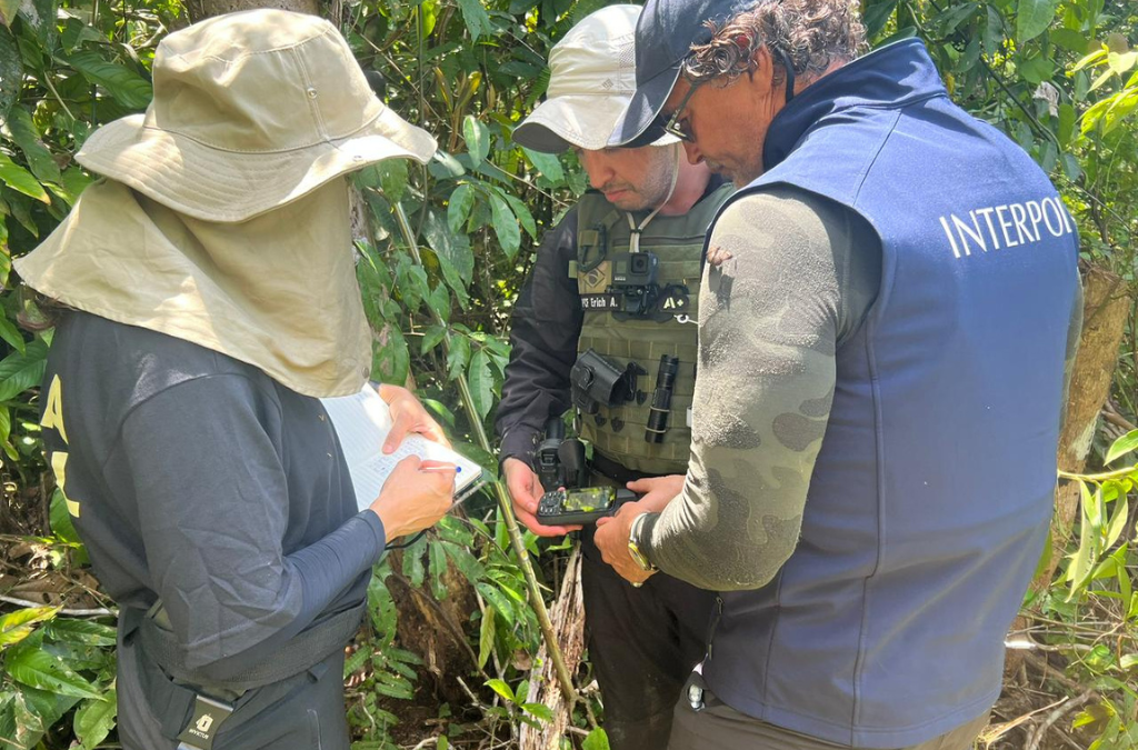 Spotlight4-Impact-Clean Gold-4.png