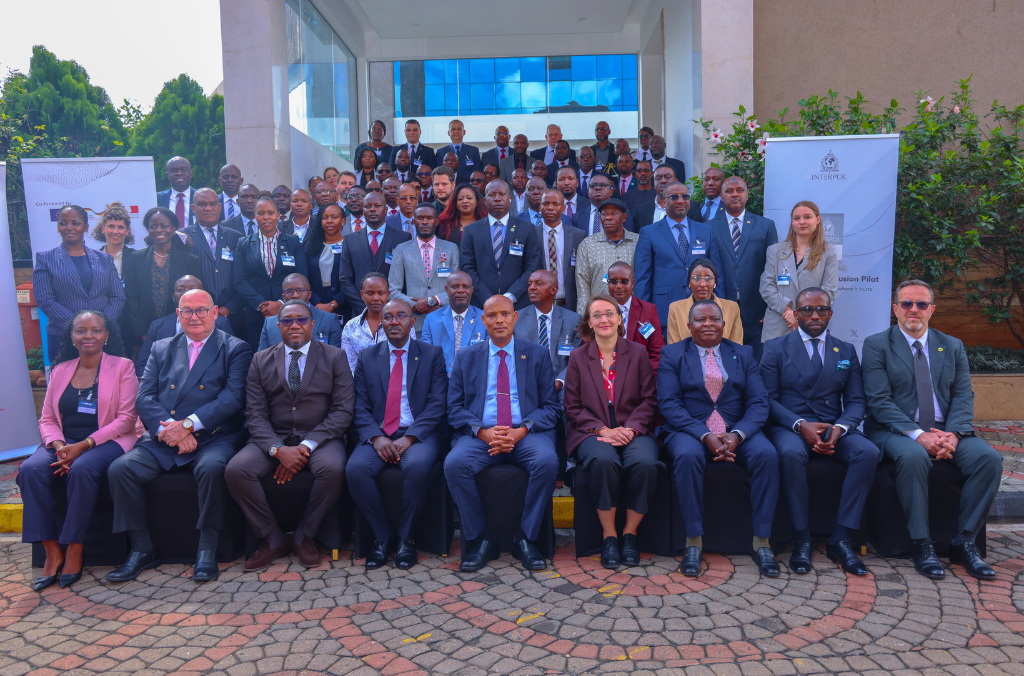 Disrupting criminal finances in Africa: INTERPOL’s Silver Notice