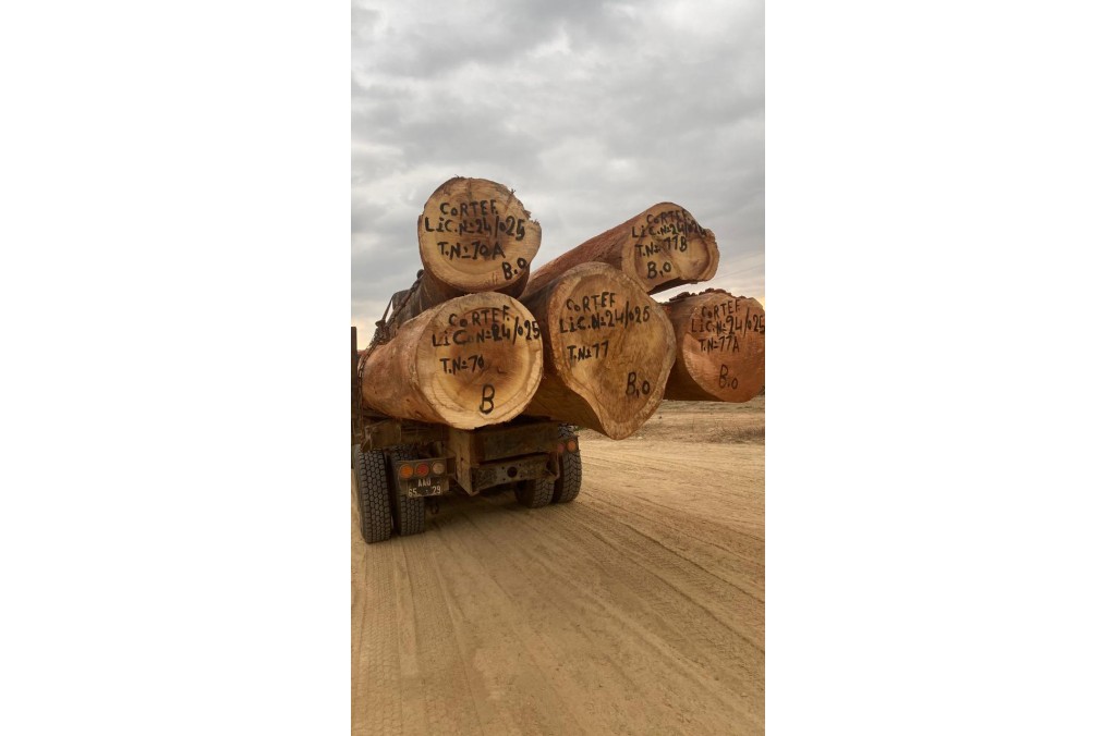 Angola timber.jpg