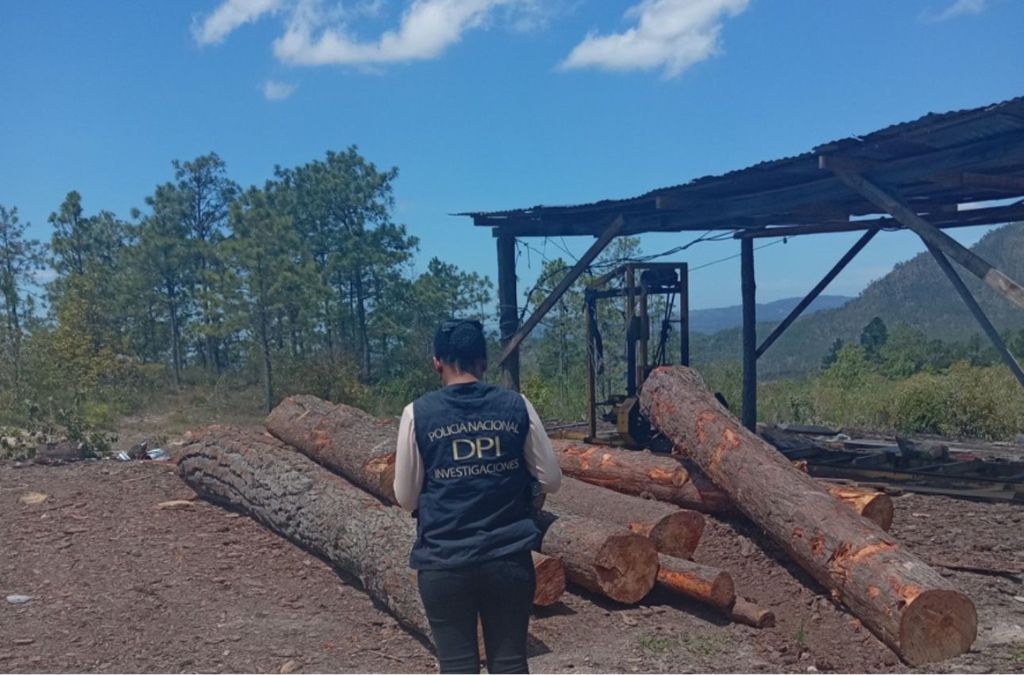 Honduras 250610_Logging.png