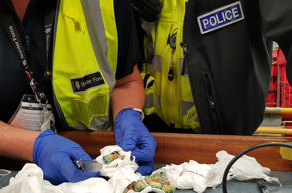 Further arrests and prosecutions are anticipated as ongoing global investigations progress. Courtesy of UK Customs