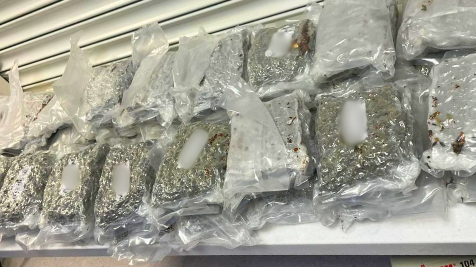 Cyprus 2 _ Contraband seizure display - Edited.png