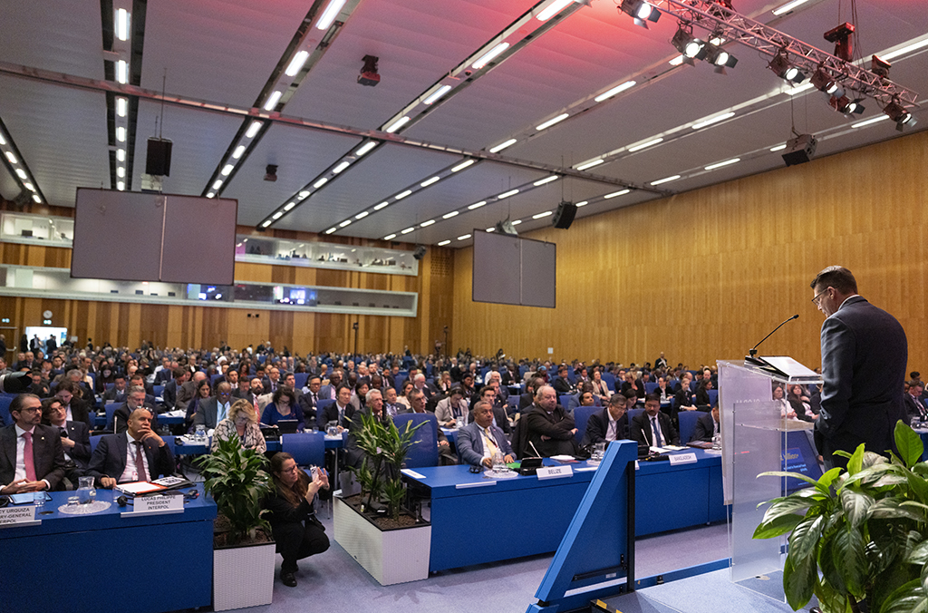 INTERPOL-UNODC global summit ends with call to action against fraud surge