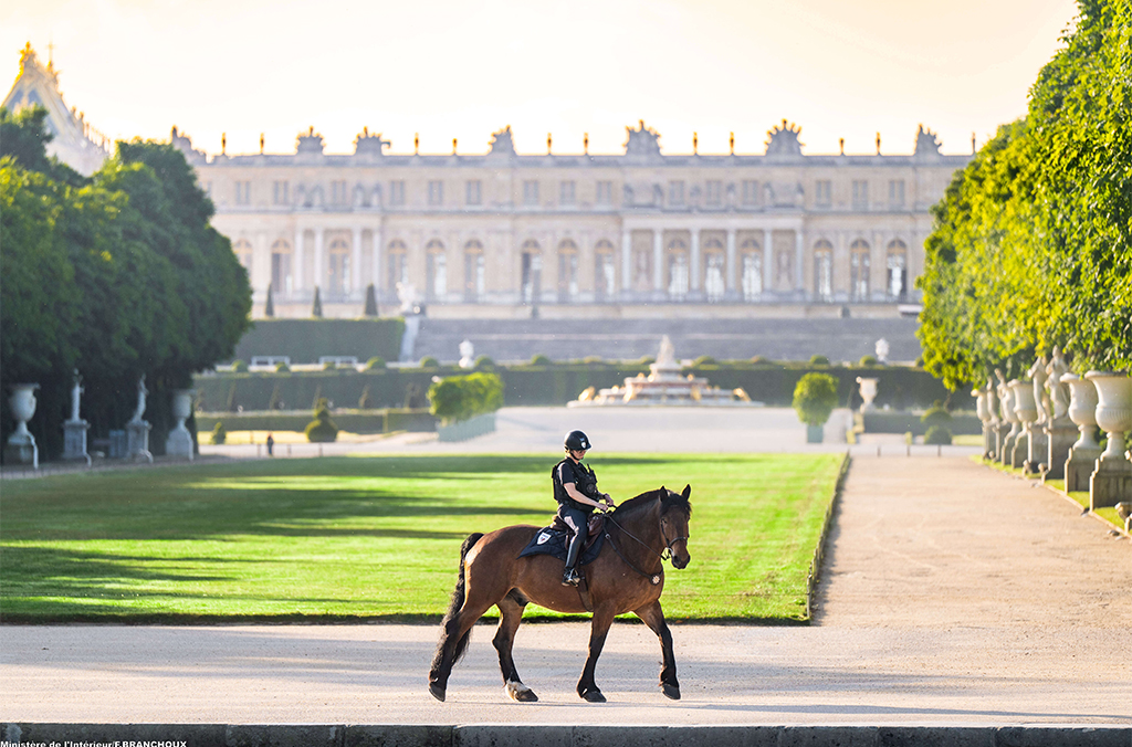 7 -  Mounted Police - National Police copy.jpeg