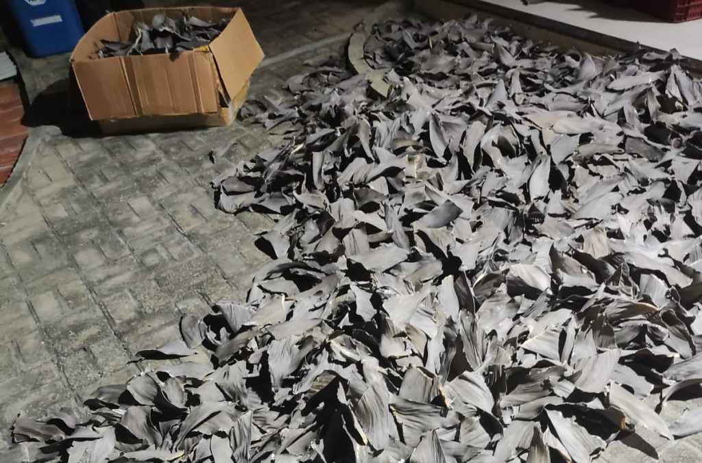 Brazil almost 2 tonnes shark fin.jpg