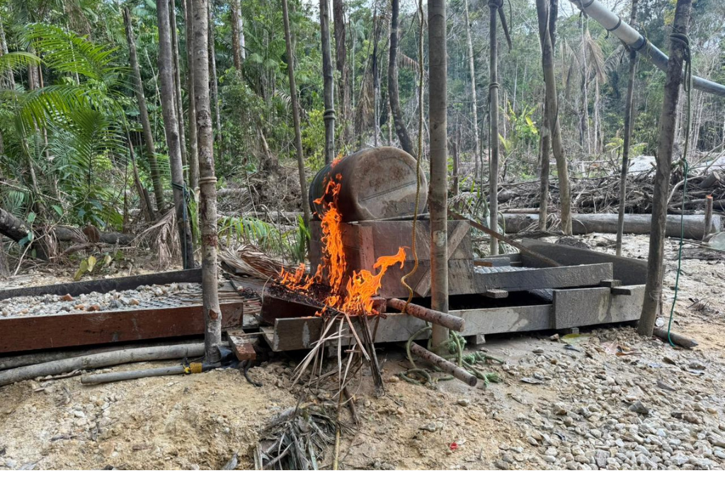 2. Guyana shield - illegal gold mining in Guyana.png