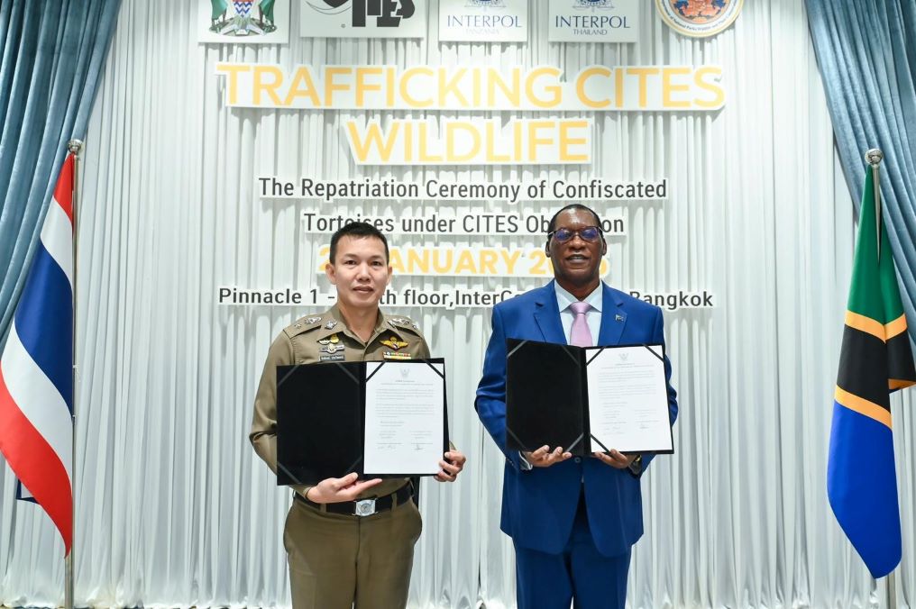 13. A handover ceremony marking the return of the tortoises was held in Bangkok on 23 January 2025. Image courtesy Royal Thai Police.jpeg