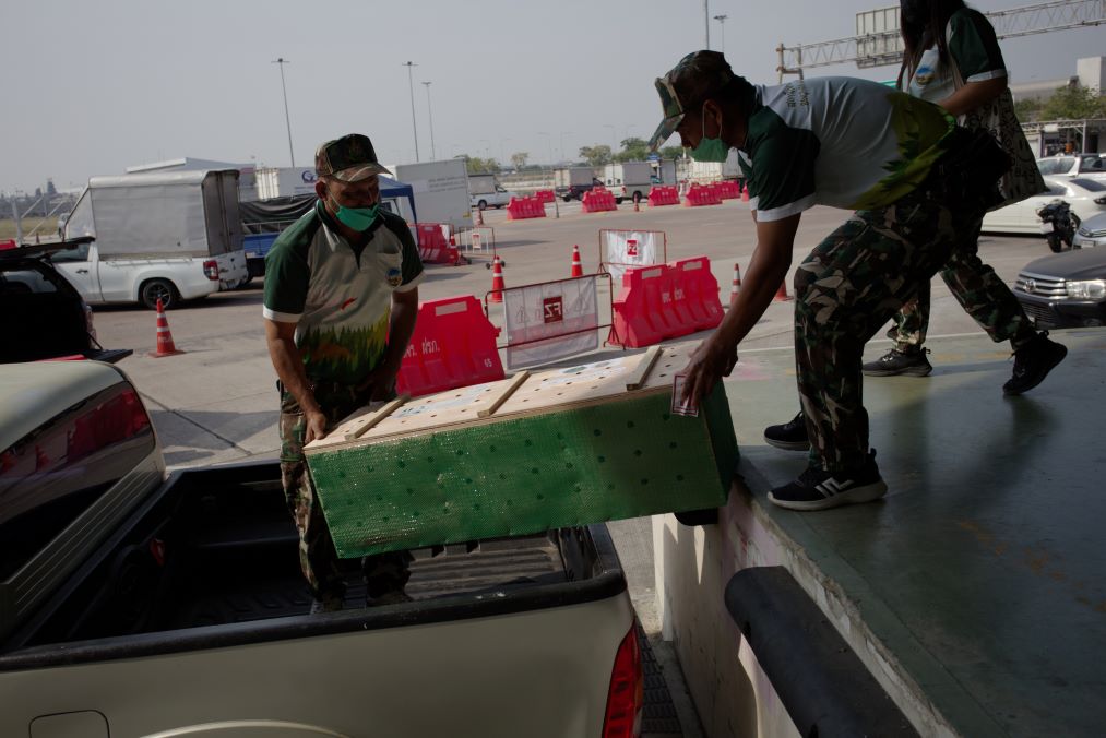 11. A tortoise crate being transferred to its next mode of transport.jpg
