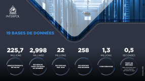 19 Databases