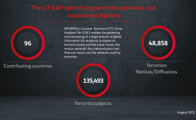 Foreign terrorist fighters Identifying connections in FTF movements