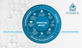 Operating model