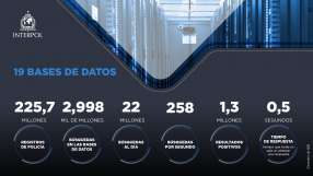 19 Databases