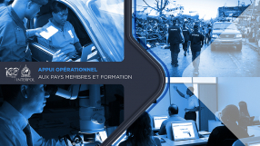 Training and Operational Support to Member countries
