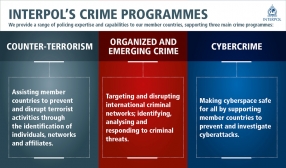 INTERPOL´s Crime Programmes