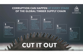 Global Timber Supply Chain