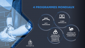 Four Global Programmes
