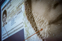 Counterfeit security documents