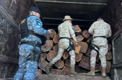 Guatemala 250526_Timber.png