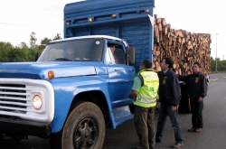Con sus operaciones, INTERPOL da apoyo a las fuerzas del orden que intervienen en todos los niveles de la cadena de suministro de madera y ayuda a los países a recopilar información policial e identificar nuevas tendencias.