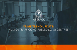 VCO_THB_Crime trends_2024-09.jpg