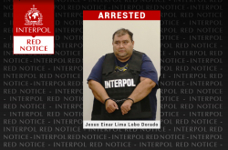 Lima Lobo preview