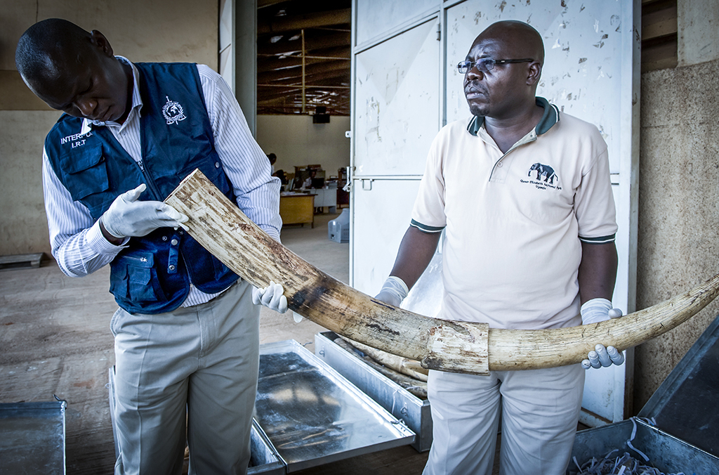 Our response to environmental crime
