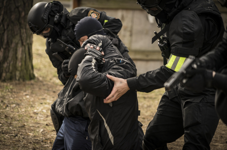 Organized crime