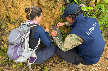 Spotlight4-Impact-Clean Gold-1-Main.png