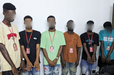 Preview Contender.jpeg