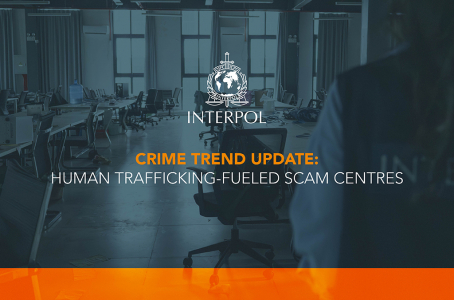 VCO_THB_Crime trends_2024-09.jpg