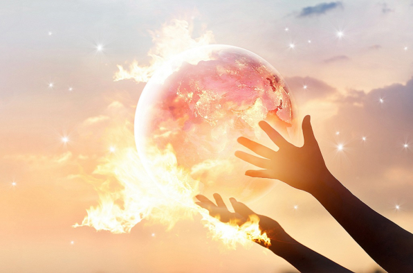 Environmental crime INTERPOL